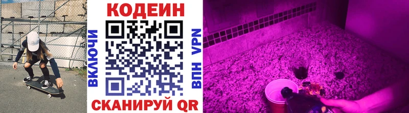 OMG как войти  Слюдянка  Кодеин Purple Drank  цена наркотик 