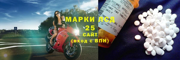 эйфоретик Баксан
