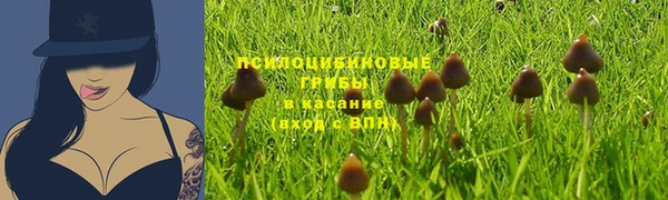 МДПВ Армянск