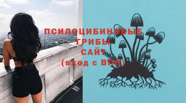 МДПВ Армянск