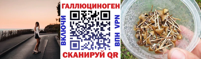 Галлюциногенные грибы ЛСД  Слюдянка 